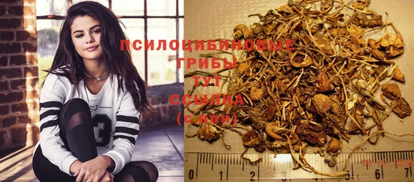 молекула духа Санкт-Петербург